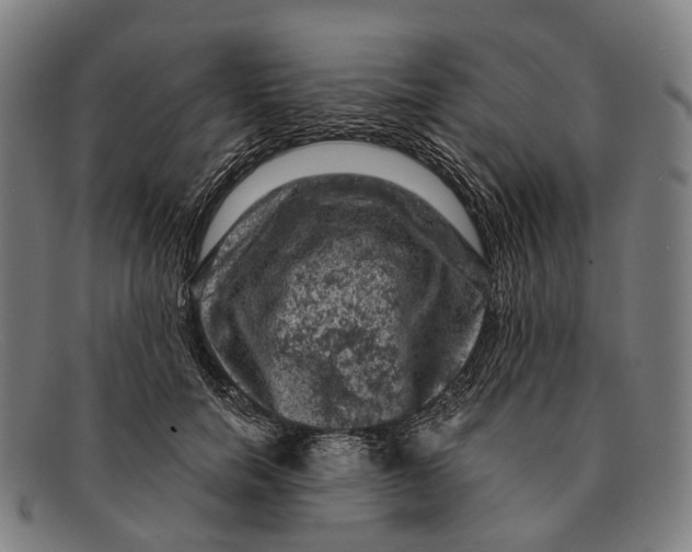 X0000091480750200709131811