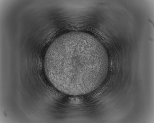 X0000091480751200709131811