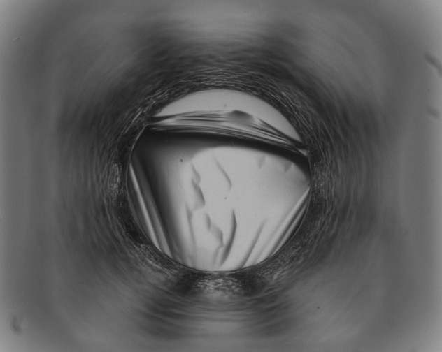 X0000091480752200709131811