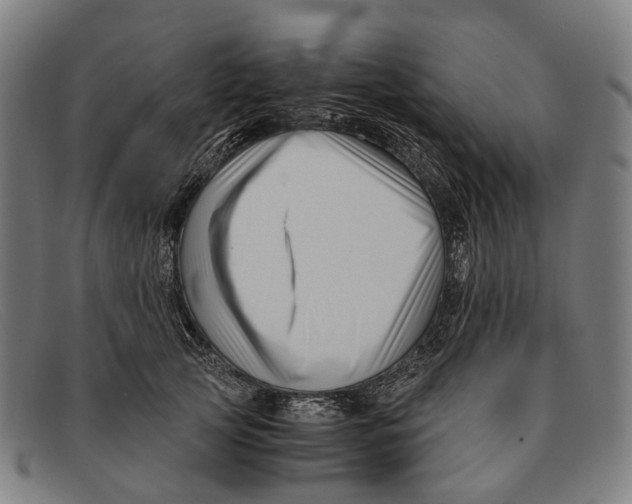 X0000091480753200709131811