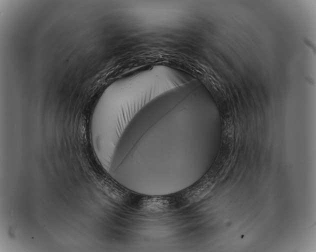 X0000091480754200709131811