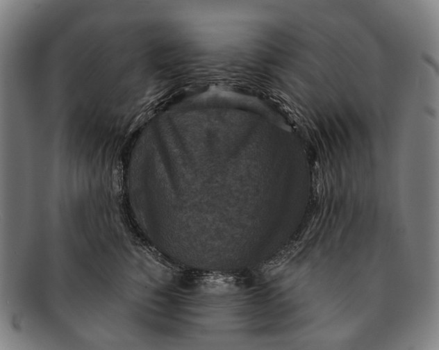 X0000091480760200709131811