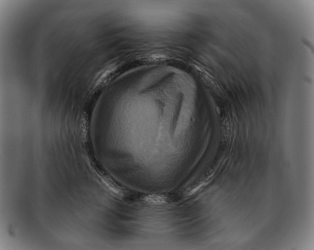 X0000091480762200709131811