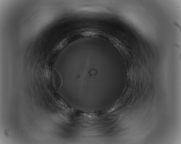 X0000091480763200709131811