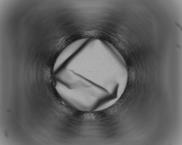 X0000091480764200709131811