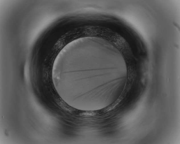 X0000091480765200709131811