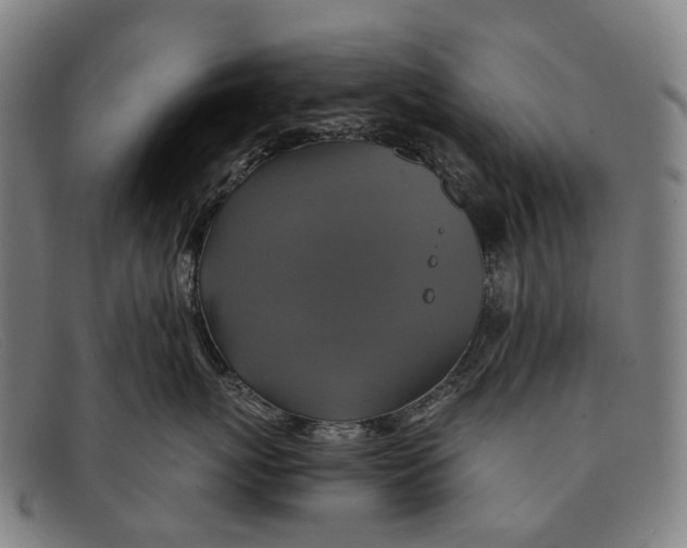 X0000091480767200709131811