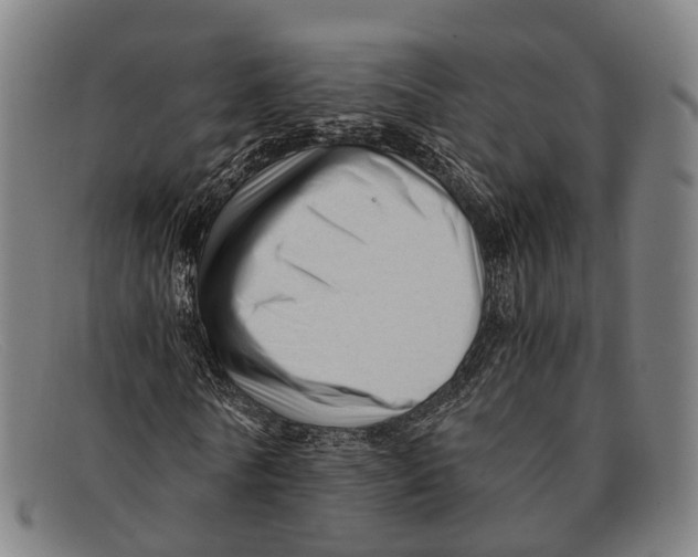 X0000091480770200709131811