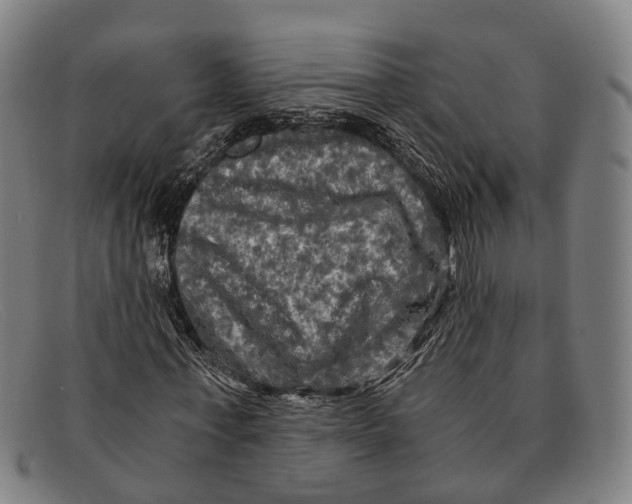 X0000091480771200709131811