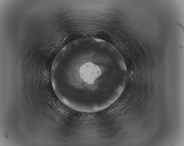 X0000091480772200709131811