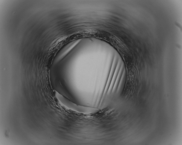 X0000091480773200709131811