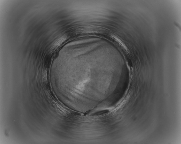 X0000091480777200709131811