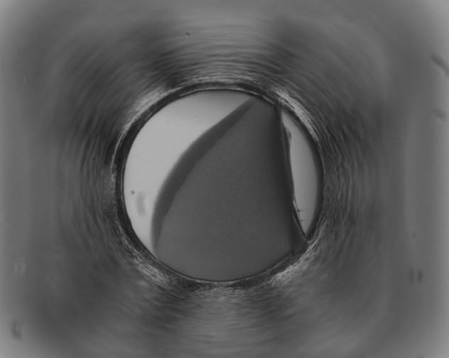 X0000091480779200709131811