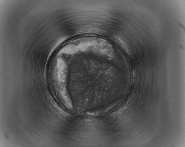 X0000091480780200709131811