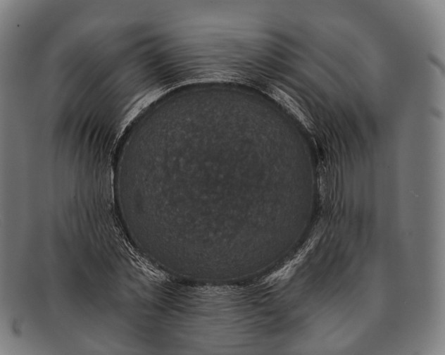 X0000091480781200709131811