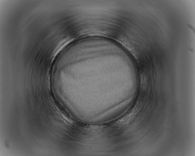 X0000091480782200709131811