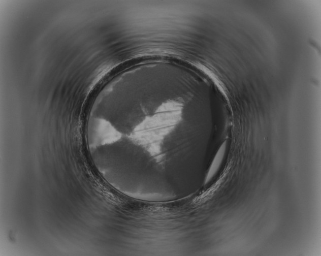 X0000091480783200709131811