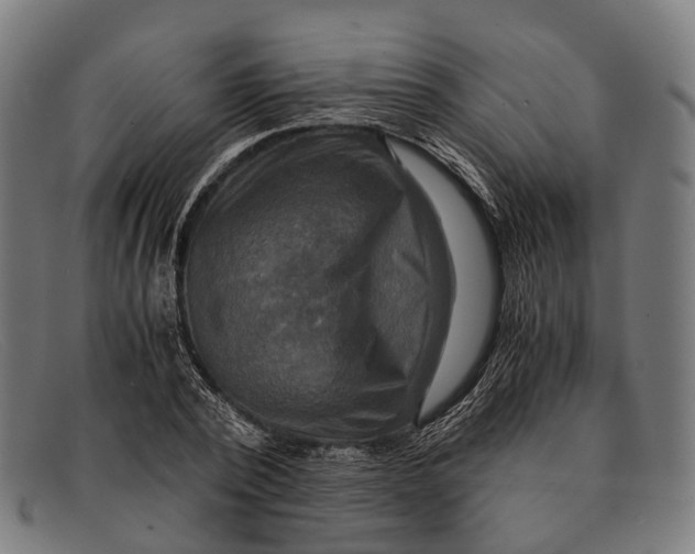 X0000091480784200709131811