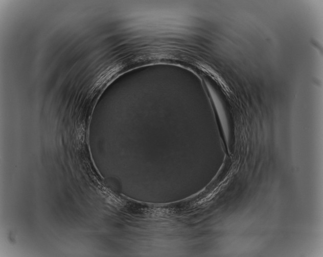 X0000091480785200709131811