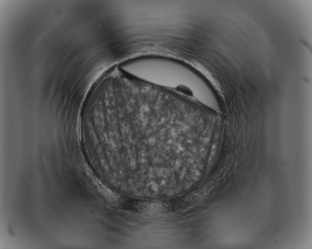 X0000091480791200709131811