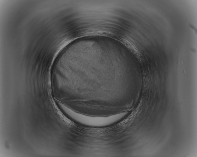 X0000091480792200709131811