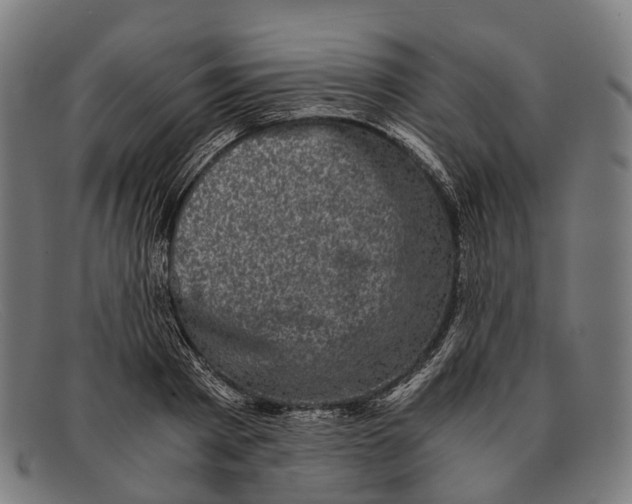 X0000091480793200709131811