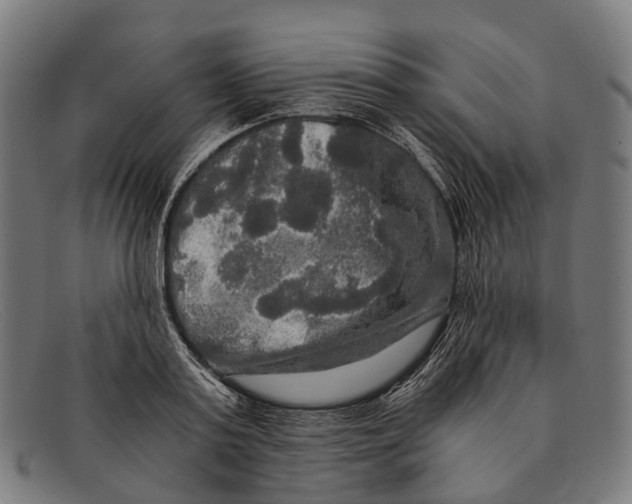 X0000091480795200709131811