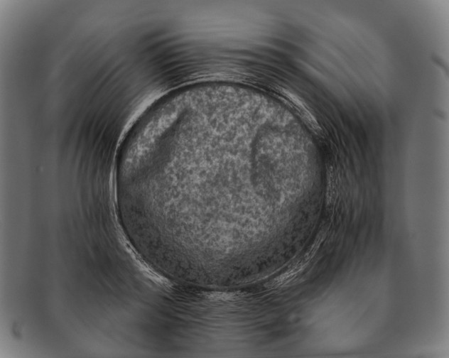 X0000091480796200709131811