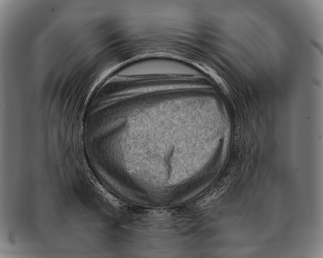 X0000091480799200709131811