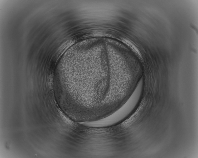 X0000091480801200709131810