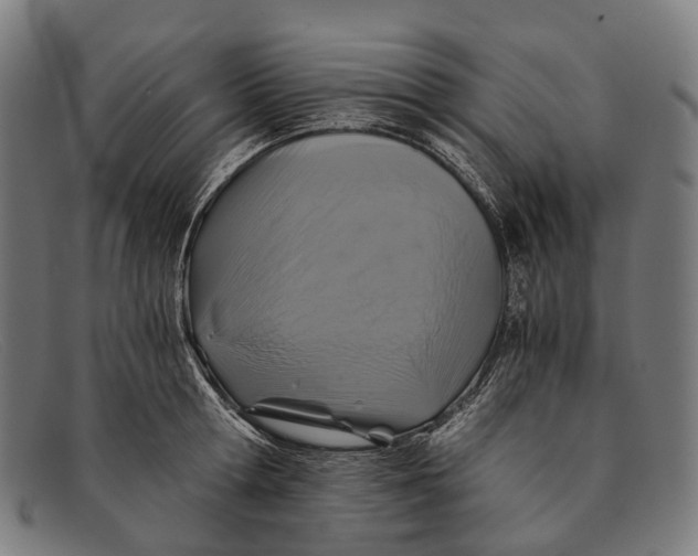 X0000091480802200709131810