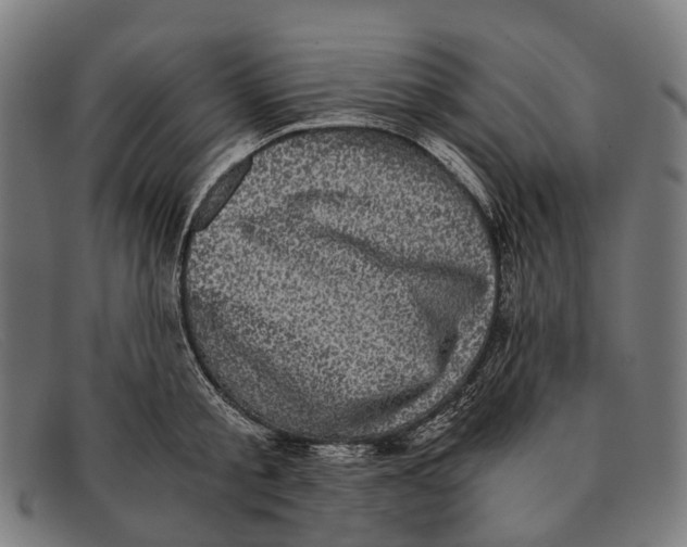 X0000091480805200709131810