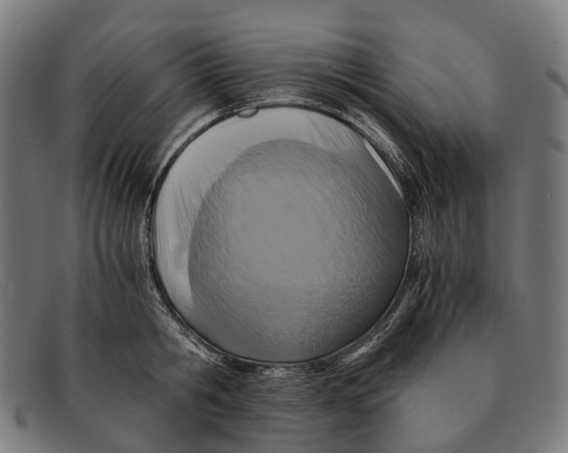 X0000091480806200709131810