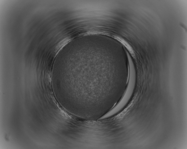 X0000091480809200709131810