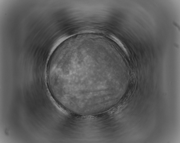 X0000091480811200709131810