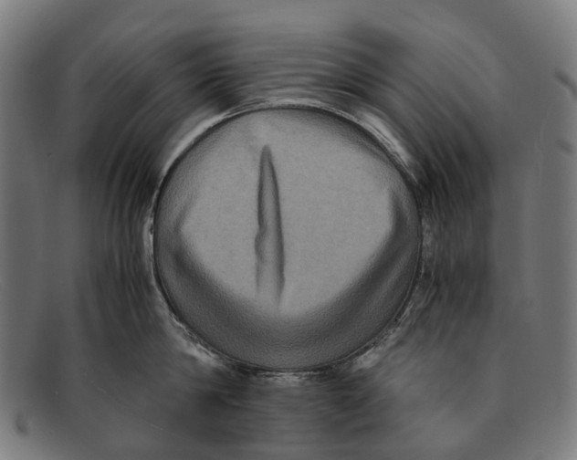 X0000091480814200709131810