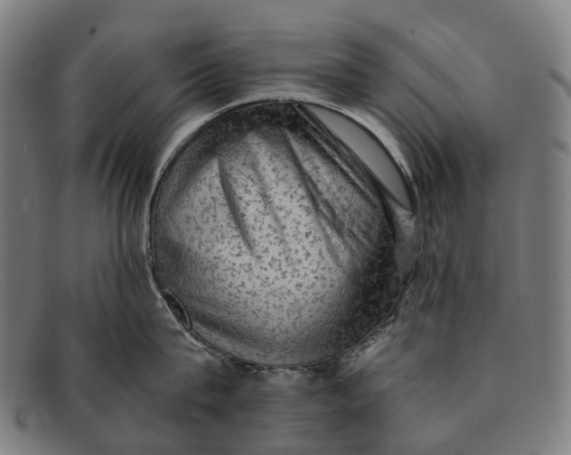 X0000091480815200709131810