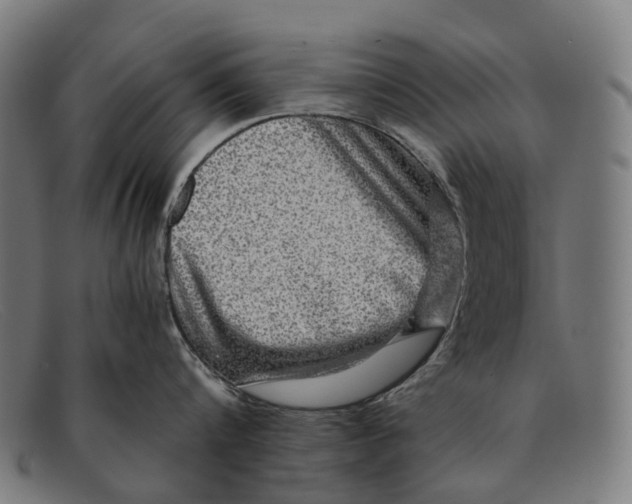 X0000091480816200709131810