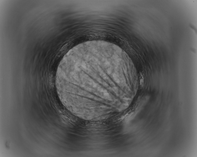 X0000091480819200709131810