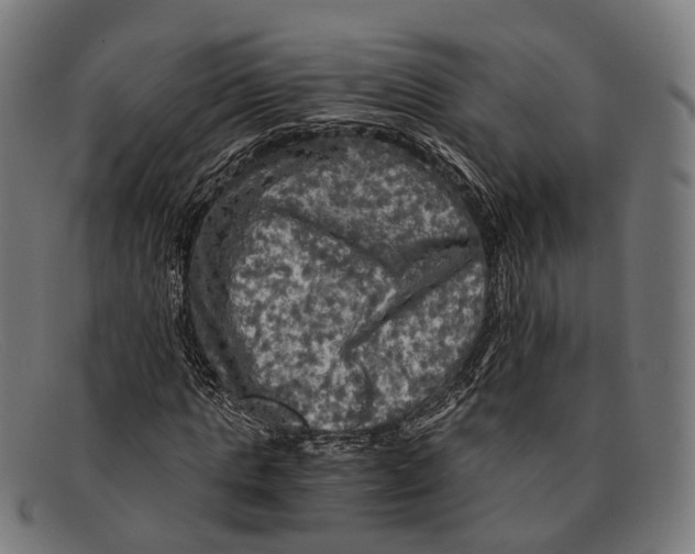 X0000091480821200709131810