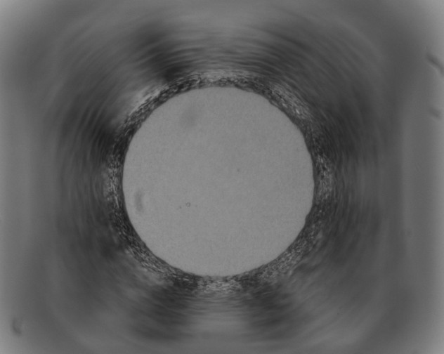 X0000091480824200709131810