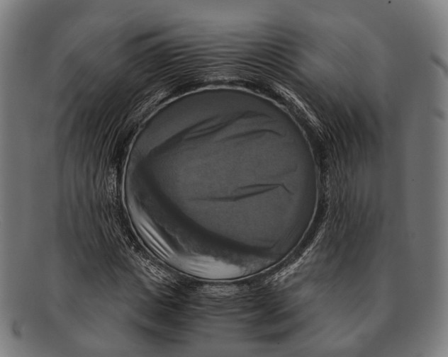 X0000091480825200709131810