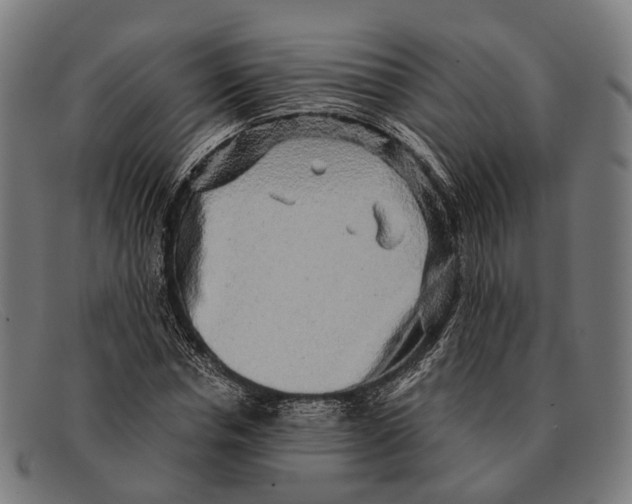 X0000091480826200709131810