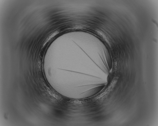 X0000091480827200709131810