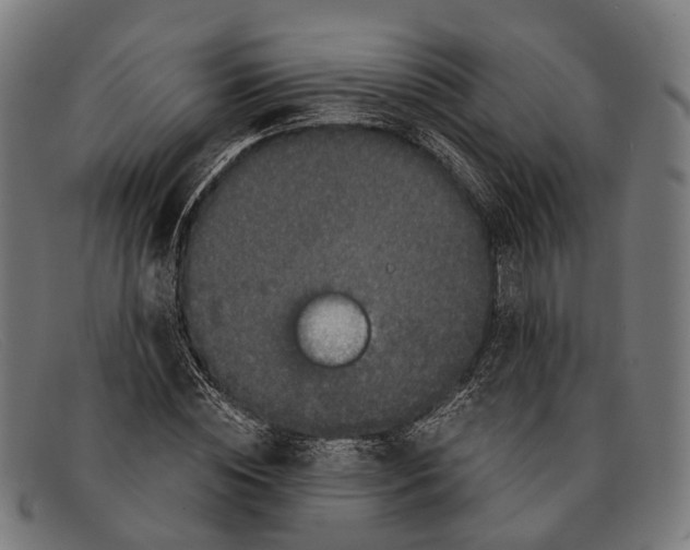 X0000091480828200709131810