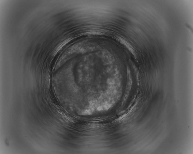 X0000091480829200709131810