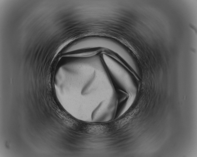 X0000091480830200709131810