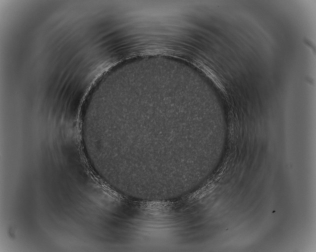 X0000091480832200709131810