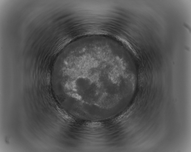 X0000091480833200709131810