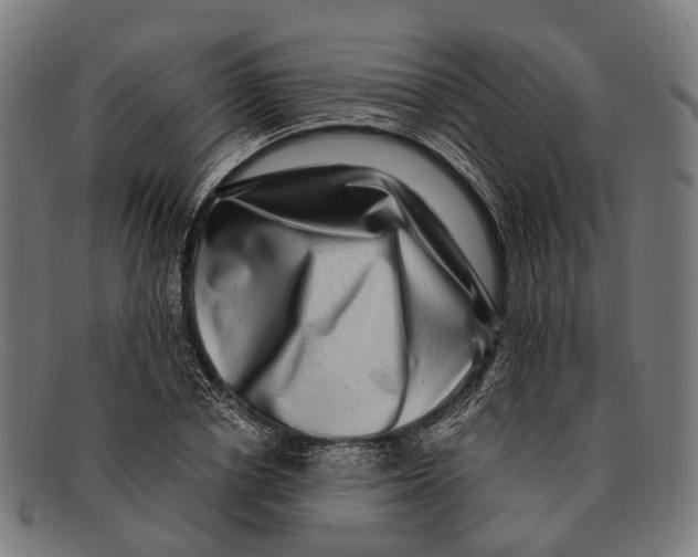 X0000091480834200709131810